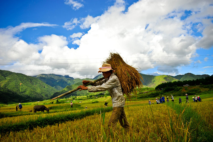 Don Village Pu Luong Travel Guide