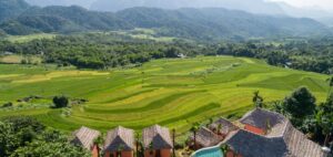 Farm to Table Cuisine at Hanasa Pu Luong Taste Authentic Vietnam
