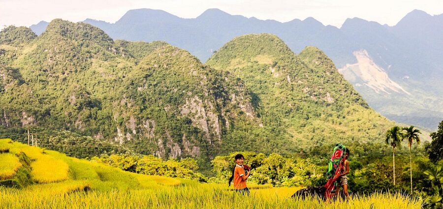 Guide pour voyager à Pu Luong